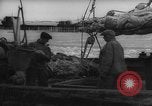 Image of weighing fresh caught fish Boston Massachusetts USA, 1935, second 39 stock footage video 65675046910