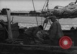 Image of weighing fresh caught fish Boston Massachusetts USA, 1935, second 42 stock footage video 65675046910