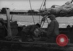 Image of weighing fresh caught fish Boston Massachusetts USA, 1935, second 45 stock footage video 65675046910