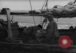 Image of weighing fresh caught fish Boston Massachusetts USA, 1935, second 46 stock footage video 65675046910