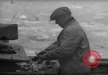 Image of fish cut to use as bait Boston Massachusetts USA, 1935, second 6 stock footage video 65675046911