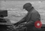 Image of fish cut to use as bait Boston Massachusetts USA, 1935, second 7 stock footage video 65675046911