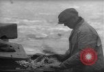 Image of fish cut to use as bait Boston Massachusetts USA, 1935, second 8 stock footage video 65675046911