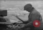 Image of fish cut to use as bait Boston Massachusetts USA, 1935, second 9 stock footage video 65675046911