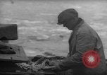 Image of fish cut to use as bait Boston Massachusetts USA, 1935, second 10 stock footage video 65675046911