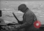 Image of fish cut to use as bait Boston Massachusetts USA, 1935, second 20 stock footage video 65675046911