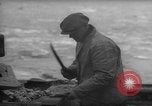 Image of fish cut to use as bait Boston Massachusetts USA, 1935, second 28 stock footage video 65675046911