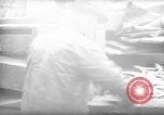 Image of fish cut to use as bait Boston Massachusetts USA, 1935, second 29 stock footage video 65675046911