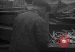 Image of fish cut to use as bait Boston Massachusetts USA, 1935, second 31 stock footage video 65675046911