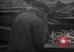 Image of fish cut to use as bait Boston Massachusetts USA, 1935, second 33 stock footage video 65675046911
