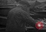 Image of fish cut to use as bait Boston Massachusetts USA, 1935, second 34 stock footage video 65675046911