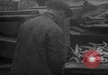 Image of fish cut to use as bait Boston Massachusetts USA, 1935, second 36 stock footage video 65675046911