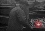 Image of fish cut to use as bait Boston Massachusetts USA, 1935, second 37 stock footage video 65675046911