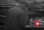 Image of fish cut to use as bait Boston Massachusetts USA, 1935, second 38 stock footage video 65675046911