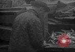 Image of fish cut to use as bait Boston Massachusetts USA, 1935, second 40 stock footage video 65675046911
