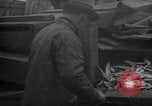 Image of fish cut to use as bait Boston Massachusetts USA, 1935, second 41 stock footage video 65675046911