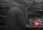 Image of fish cut to use as bait Boston Massachusetts USA, 1935, second 42 stock footage video 65675046911