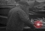 Image of fish cut to use as bait Boston Massachusetts USA, 1935, second 43 stock footage video 65675046911