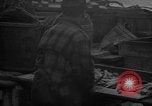 Image of fish cut to use as bait Boston Massachusetts USA, 1935, second 46 stock footage video 65675046911