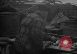 Image of fish cut to use as bait Boston Massachusetts USA, 1935, second 49 stock footage video 65675046911