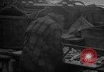 Image of fish cut to use as bait Boston Massachusetts USA, 1935, second 52 stock footage video 65675046911