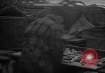 Image of fish cut to use as bait Boston Massachusetts USA, 1935, second 53 stock footage video 65675046911