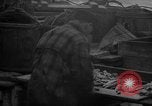 Image of fish cut to use as bait Boston Massachusetts USA, 1935, second 55 stock footage video 65675046911