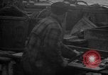 Image of fish cut to use as bait Boston Massachusetts USA, 1935, second 56 stock footage video 65675046911
