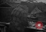 Image of fish cut to use as bait Boston Massachusetts USA, 1935, second 57 stock footage video 65675046911