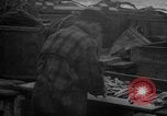 Image of fish cut to use as bait Boston Massachusetts USA, 1935, second 58 stock footage video 65675046911