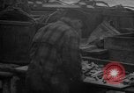 Image of fish cut to use as bait Boston Massachusetts USA, 1935, second 59 stock footage video 65675046911