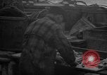 Image of fish cut to use as bait Boston Massachusetts USA, 1935, second 61 stock footage video 65675046911