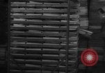 Image of frozen fish Boston Massachusetts USA, 1935, second 46 stock footage video 65675046912