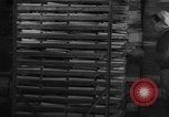 Image of frozen fish Boston Massachusetts USA, 1935, second 47 stock footage video 65675046912