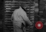 Image of frozen fish Boston Massachusetts USA, 1935, second 48 stock footage video 65675046912