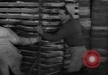 Image of frozen fish Boston Massachusetts USA, 1935, second 50 stock footage video 65675046912