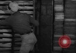 Image of frozen fish Boston Massachusetts USA, 1935, second 51 stock footage video 65675046912