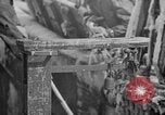 Image of Processing fresh fish Boston Massachusetts USA, 1935, second 29 stock footage video 65675046913