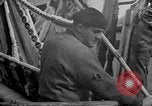 Image of Processing fresh fish Boston Massachusetts USA, 1935, second 31 stock footage video 65675046913