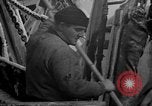 Image of Processing fresh fish Boston Massachusetts USA, 1935, second 32 stock footage video 65675046913