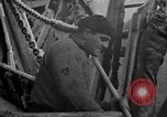Image of Processing fresh fish Boston Massachusetts USA, 1935, second 33 stock footage video 65675046913