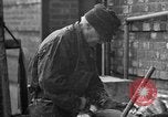 Image of Processing fresh fish Boston Massachusetts USA, 1935, second 50 stock footage video 65675046913