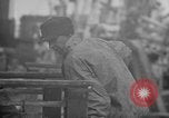 Image of Boston Fish Pier Boston Massachusetts USA, 1935, second 12 stock footage video 65675046914