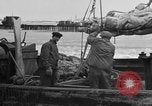 Image of Boston Fish Pier Boston Massachusetts USA, 1935, second 36 stock footage video 65675046914