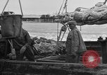 Image of Boston Fish Pier Boston Massachusetts USA, 1935, second 38 stock footage video 65675046914