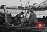 Image of Boston Fish Pier Boston Massachusetts USA, 1935, second 41 stock footage video 65675046914