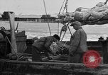 Image of Boston Fish Pier Boston Massachusetts USA, 1935, second 45 stock footage video 65675046914