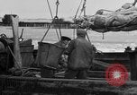 Image of Boston Fish Pier Boston Massachusetts USA, 1935, second 48 stock footage video 65675046914