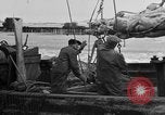 Image of Boston Fish Pier Boston Massachusetts USA, 1935, second 50 stock footage video 65675046914