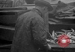 Standbild Köder Fisch zubereitet Boston Massachusetts USA, 1935, aus Sekunde 32 historischem Filmmaterial Videoclip 65675046915